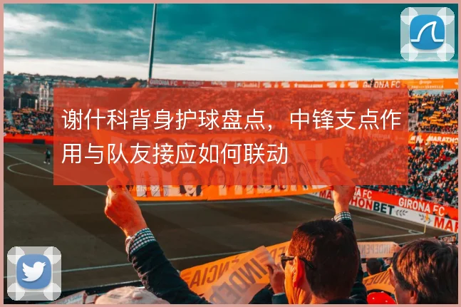 谢什科背身护球盘点，中锋支点作用与队友接应如何联动