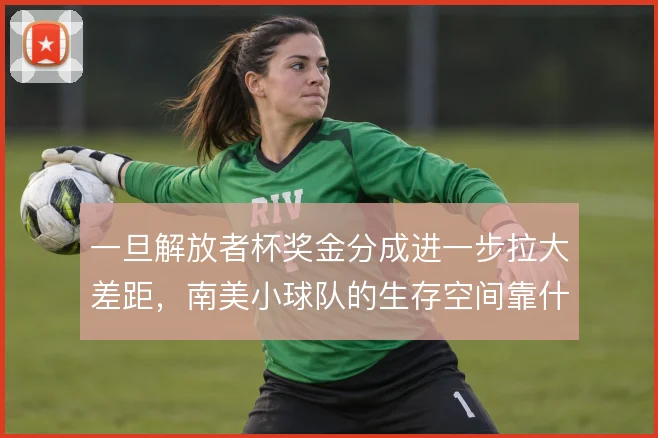 一旦解放者杯奖金分成进一步拉大差距，南美小球队的生存空间靠什么撑住