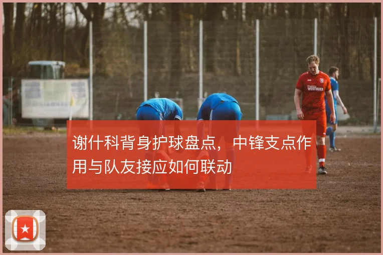 谢什科背身护球盘点，中锋支点作用与队友接应如何联动
