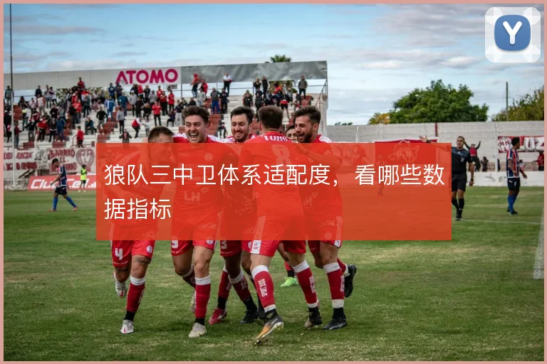 狼队三中卫体系适配度，看哪些数据指标