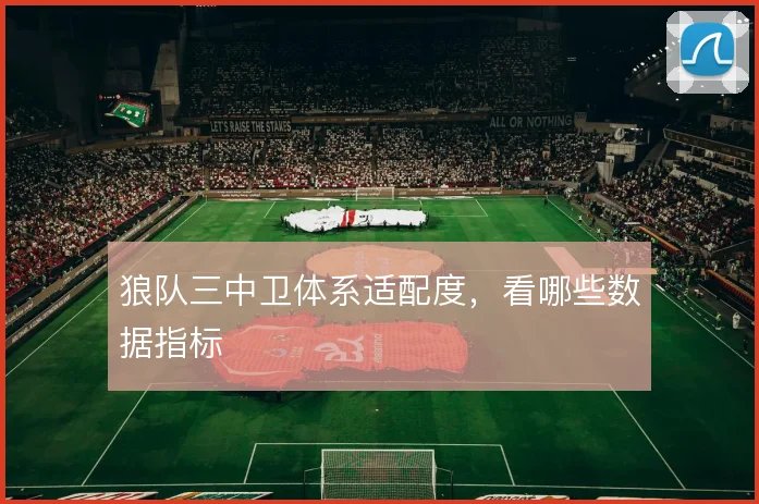 狼队三中卫体系适配度，看哪些数据指标